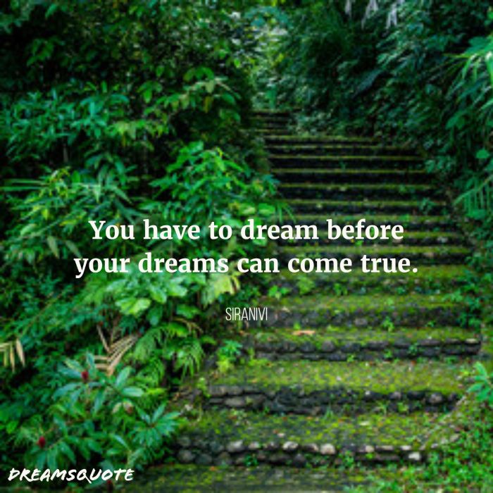 believe in your dreams quotes