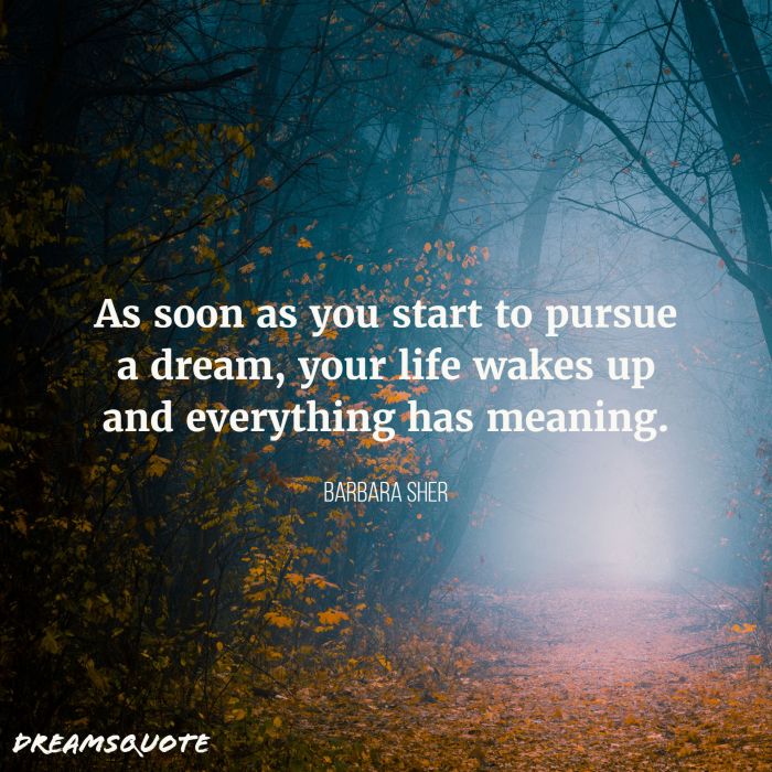 dream life quotes
