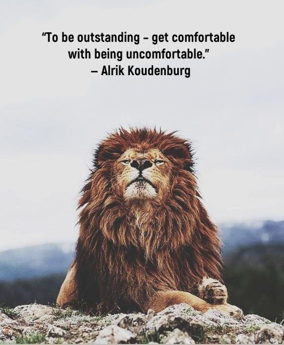 quality motivational quotes quality motivational quotes