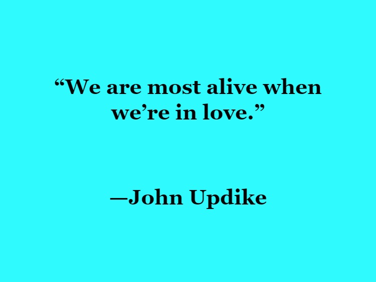 Positive Love Quotes to Brighten Your Day