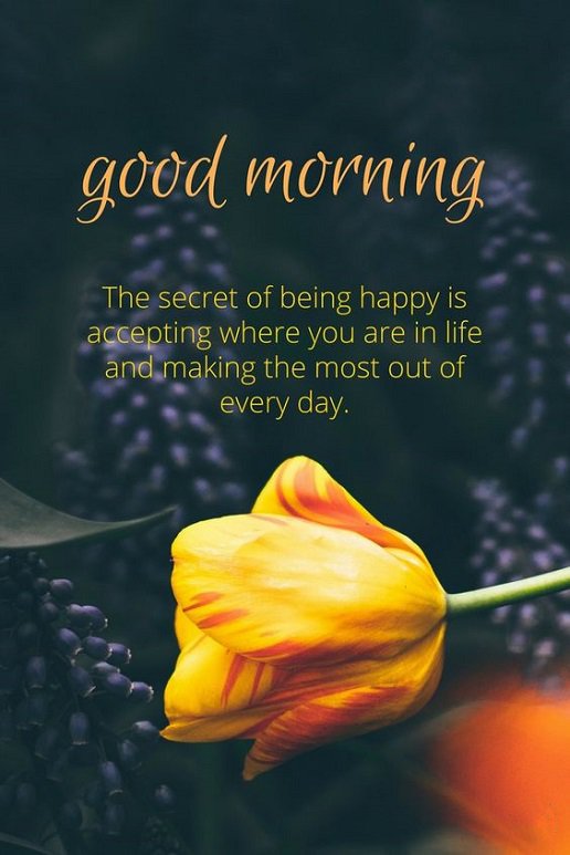 Good morning friends The Secret Of Life being Happy Friends