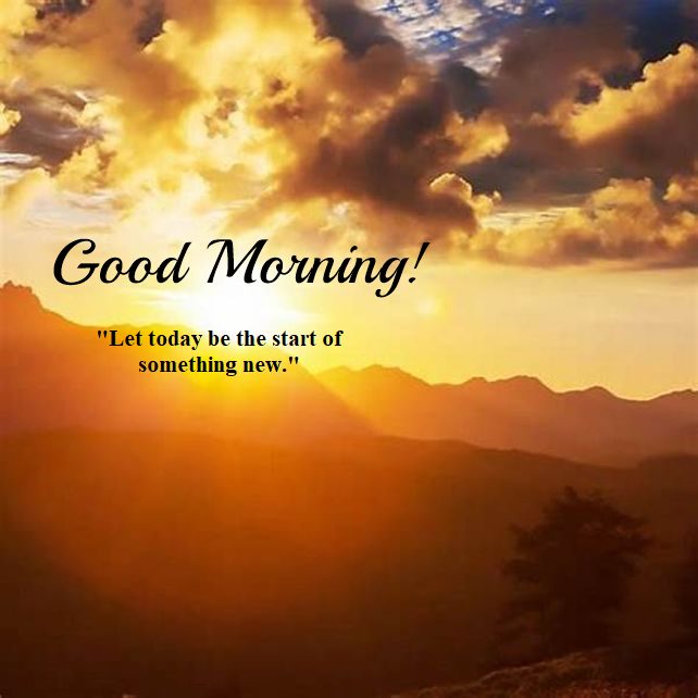 Good morning inspirational quotes about life and struggles Good morning inspirational quotes about life and struggles