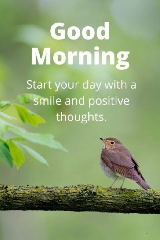35 of the Good Morning Quotes And Images Positive Energy for Good Morning -  Dreams Quote