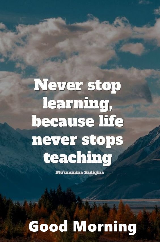 mountains with trees in the foreground and a quote about never stop learning because life never stops teaching mountains with trees in the foreground and a quote about never stop learning because life never stops teaching