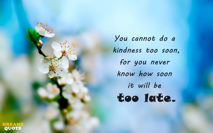 23 Kindness Quotes 4