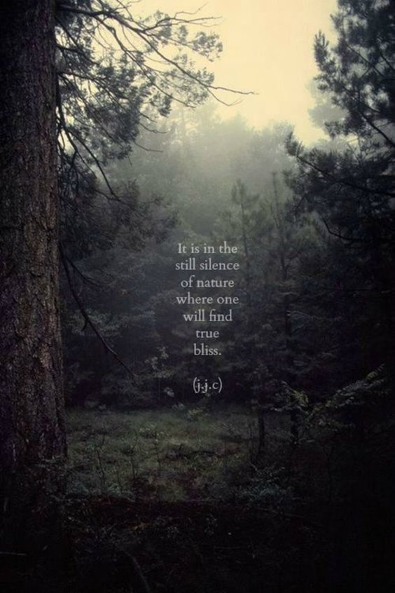 100 Motivational And Inspirational Quotes Youre Going To Love 17