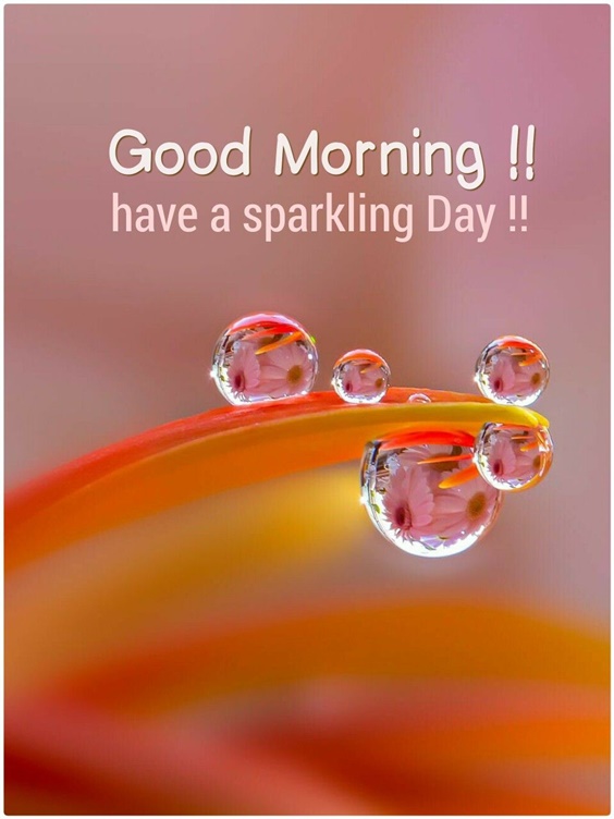 100 Good Morning Quotes With Beautiful Images 28