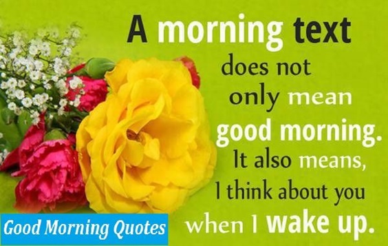 100 Good Morning Quotes With Beautiful Images 33
