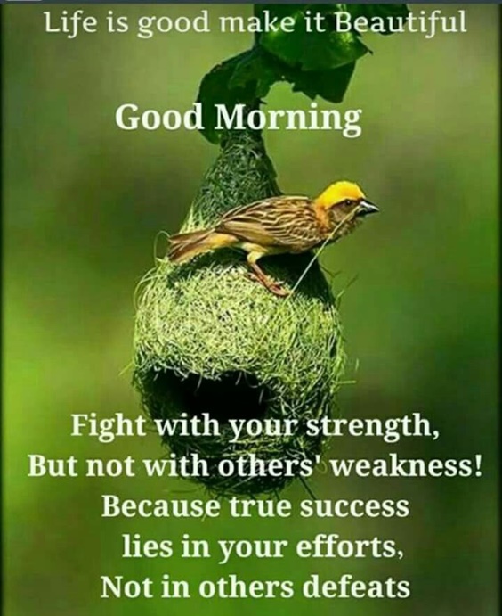 100 Good Morning Quotes With Beautiful Images 36