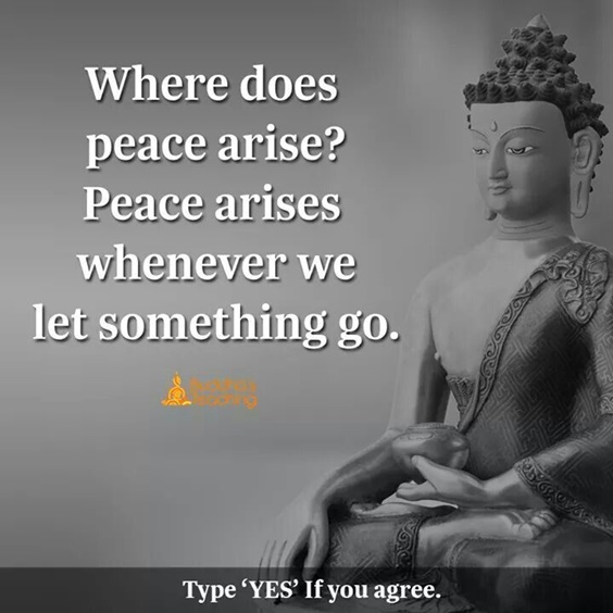 105 Buddha Quotes Youre Going To Love 35