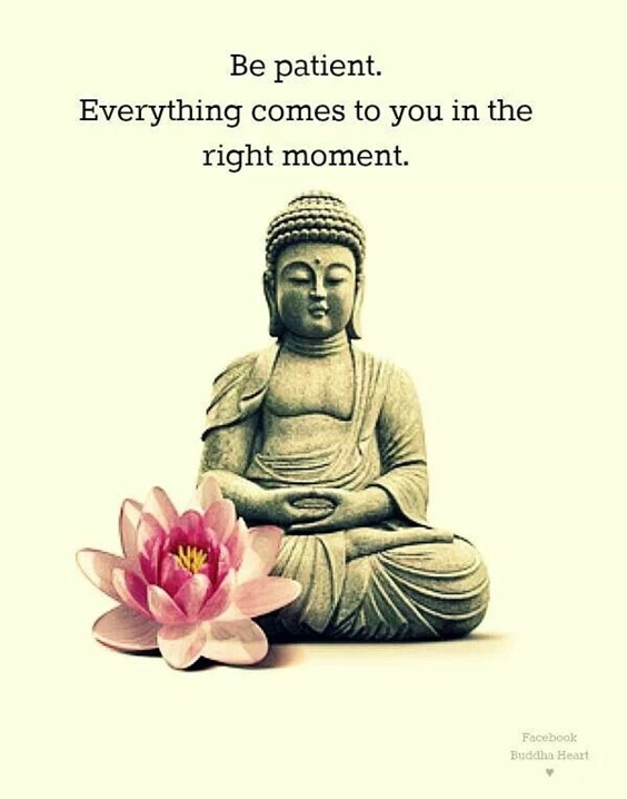 105 Buddha Quotes Youre Going To Love 47