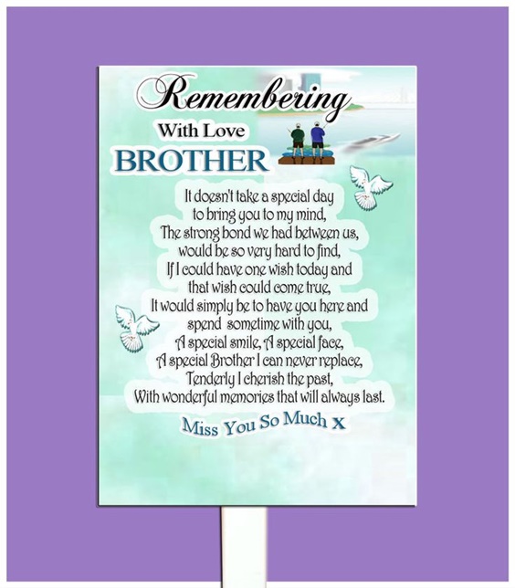 The 100 Greatest Brother Quotes And Sibling Sayings 1804b6202bbb9d3ebbb2055d2556bd82 90