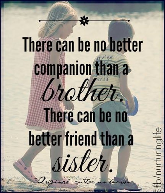 The 100 Greatest Brother Quotes And Sibling Sayings 3c61b6e22e9d3a64ad73a543944c327f 72