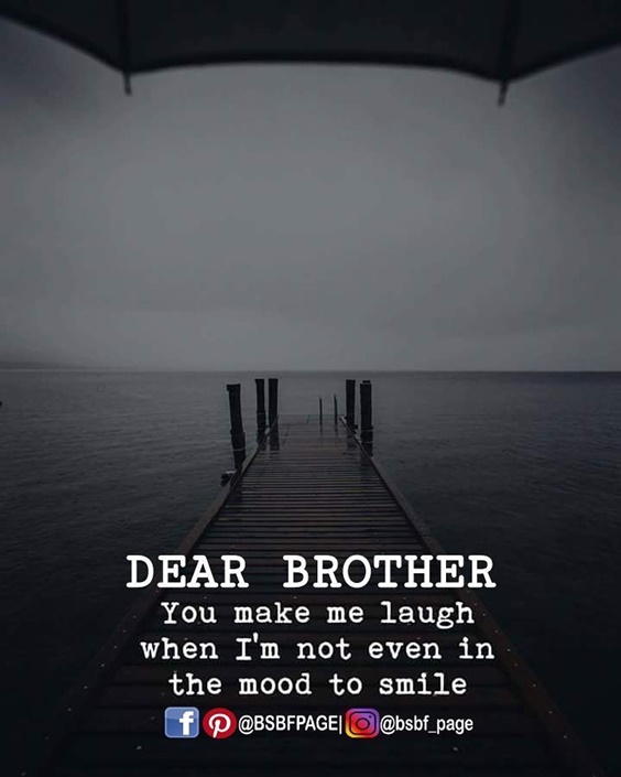 The 100 Greatest Brother Quotes And Sibling Sayings 4f3379888eec8e539b25bf353b3105a1 14