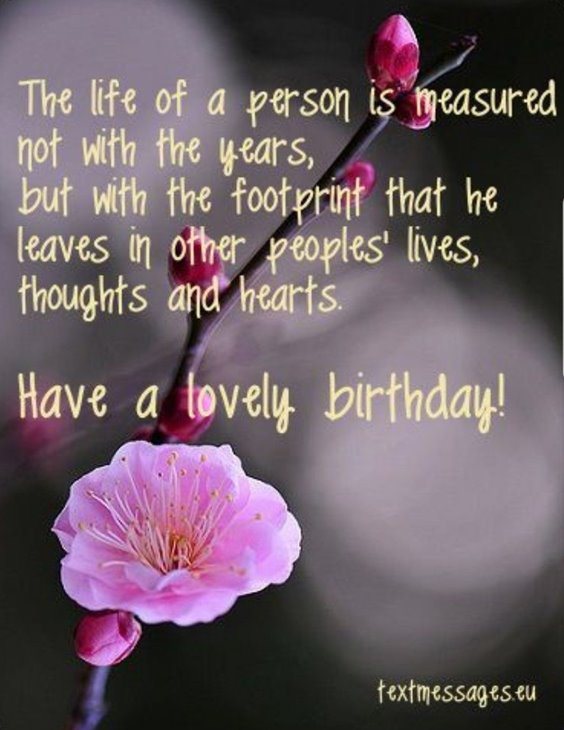 50 Happy Birthday Wishes Friendship Quotes With Images 7