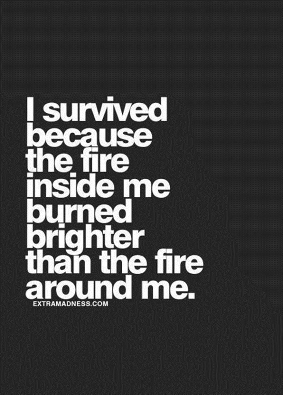 79 Funny Quotes And Sayings Youre Going To Love 15