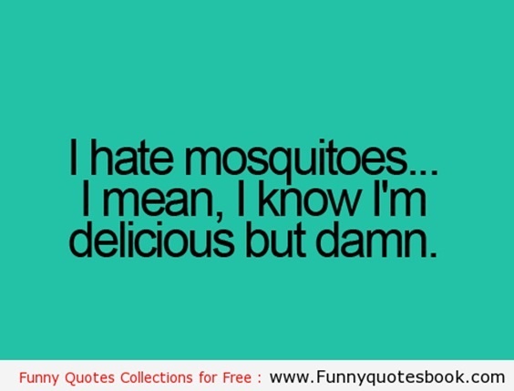 79 Funny Quotes And Sayings Youre Going To Love 22