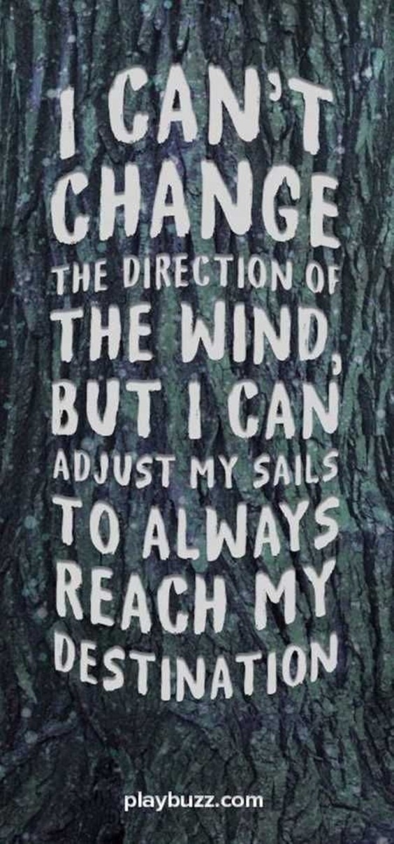 79 Funny Quotes And Sayings Youre Going To Love 27