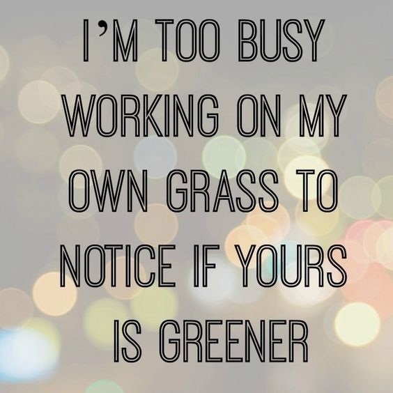79 Funny Quotes And Sayings Youre Going To Love 3
