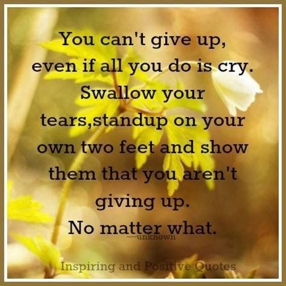 86 Dont Give Up Quotes And Inspirational Quotes About Life 61