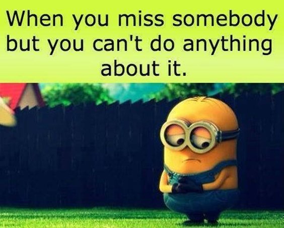 87 Funny Minion Quotes Of The Week And Funny Sayings 15