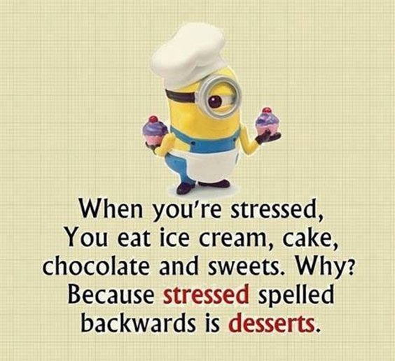 87 Funny Minion Quotes Of The Week And Funny Sayings 16