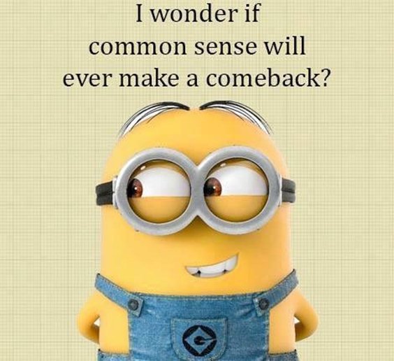 87 Funny Minion Quotes Of The Week And Funny Sayings 22