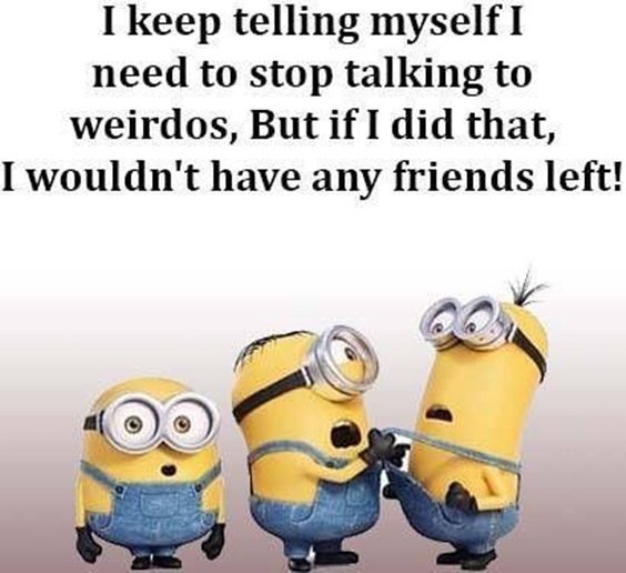 87 Funny Minion Quotes Of The Week And Funny Sayings 23