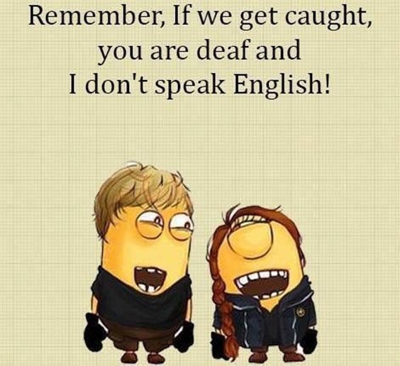 87 Funny Minion Quotes Of The Week And Funny Sayings 28