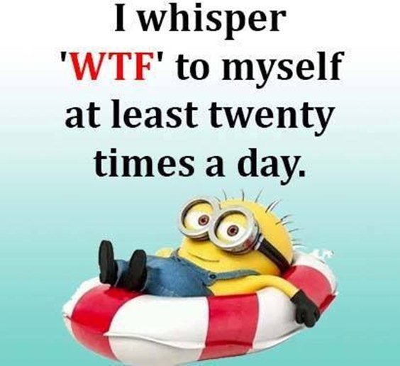 87 Funny Minion Quotes Of The Week And Funny Sayings 42