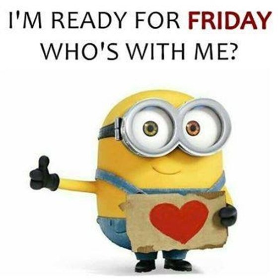 87 Funny Minion Quotes Of The Week And Funny Sayings 43
