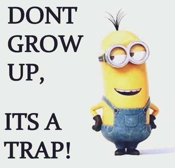 87 Funny Minion Quotes Of The Week And Funny Sayings 44