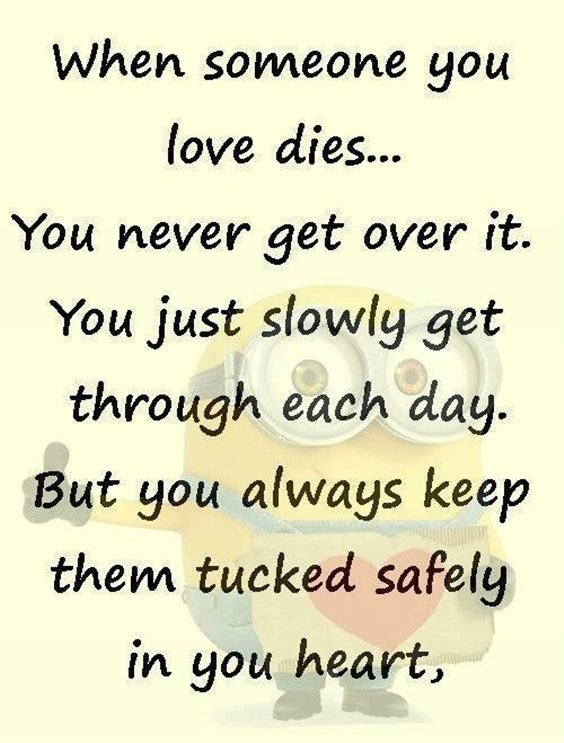 87 Funny Minion Quotes Of The Week And Funny Sayings 45