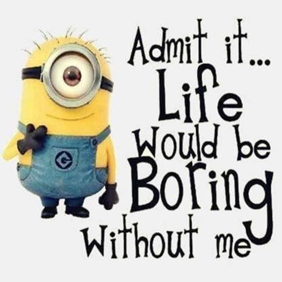 87 Funny Minion Quotes Of The Week And Funny Sayings 46
