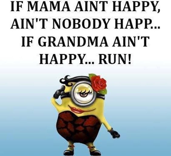 87 Funny Minion Quotes Of The Week And Funny Sayings 48