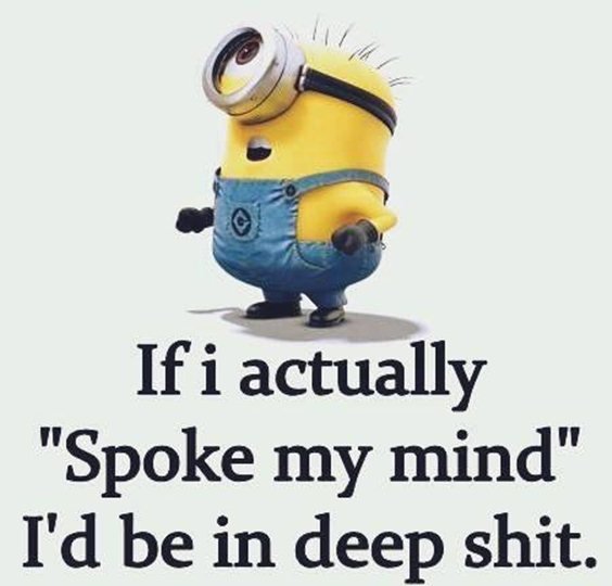 87 Funny Minion Quotes Of The Week And Funny Sayings 49