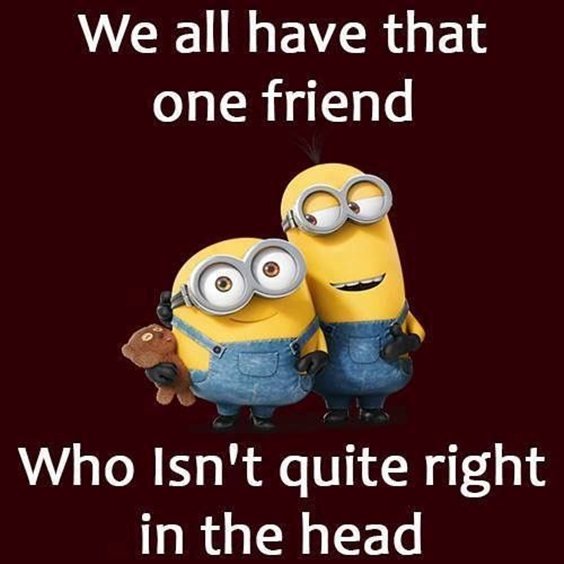 87 Funny Minion Quotes Of The Week And Funny Sayings 50