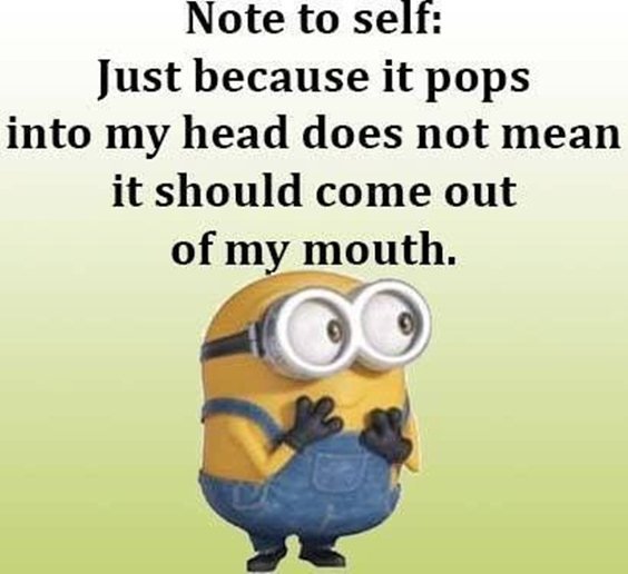 87 Funny Minion Quotes Of The Week And Funny Sayings 51