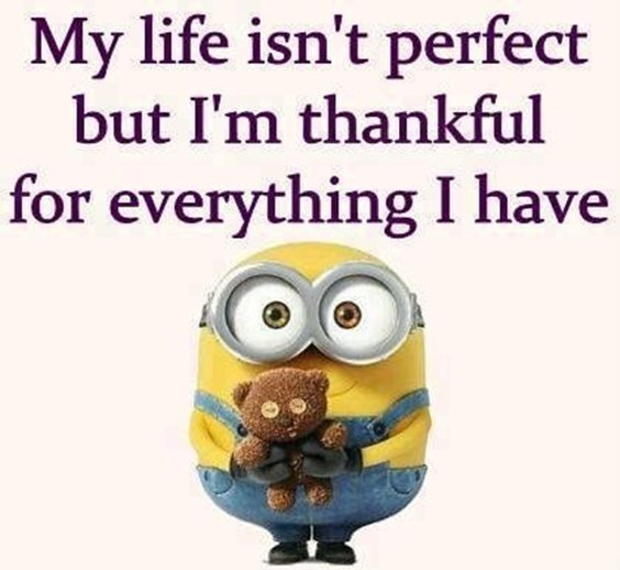 87 Funny Minion Quotes Of The Week And Funny Sayings 52