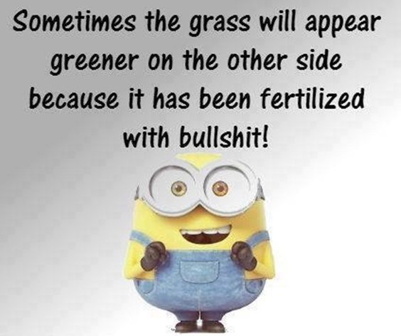87 Funny Minion Quotes Of The Week And Funny Sayings 55