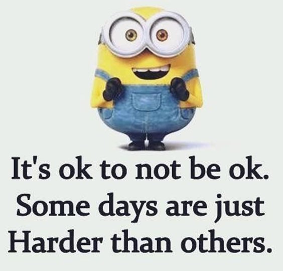 87 Funny Minion Quotes Of The Week And Funny Sayings 56