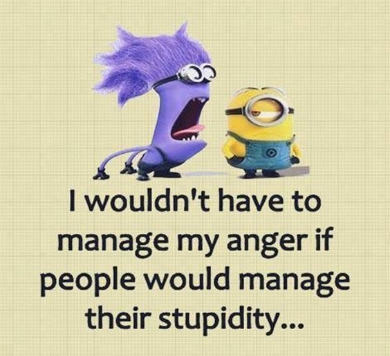 87 Funny Minion Quotes Of The Week And Funny Sayings 58