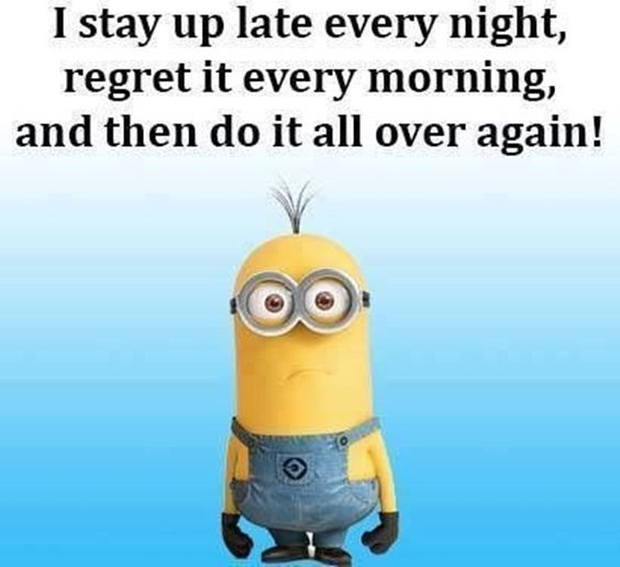 87 Funny Minion Quotes Of The Week And Funny Sayings 81