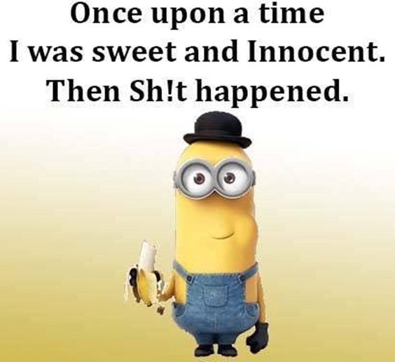 87 Funny Minion Quotes Of The Week And Funny Sayings 82