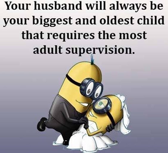 87 Funny Minion Quotes Of The Week And Funny Sayings 83