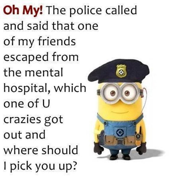 87 Funny Minion Quotes Of The Week And Funny Sayings 84