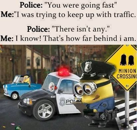 87 Funny Minion Quotes Of The Week And Funny Sayings 85