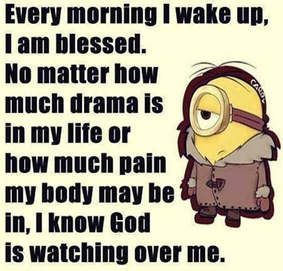 87 Funny Minion Quotes Of The Week And Funny Sayings 86