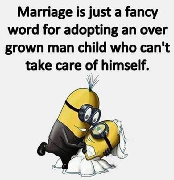 87 Funny Minion Quotes Of The Week And Funny Sayings 87
