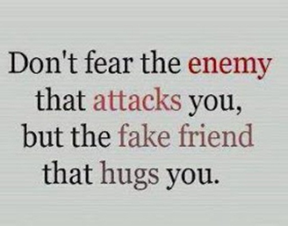 Top 70 Fake People Quotes And Fake Friends Sayings 39